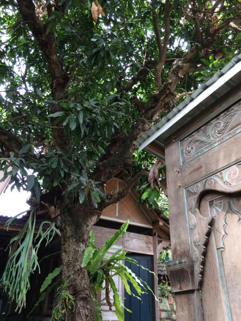 Mango Tree Dipudjo Hotel Yogyakarta Eksteriør billede