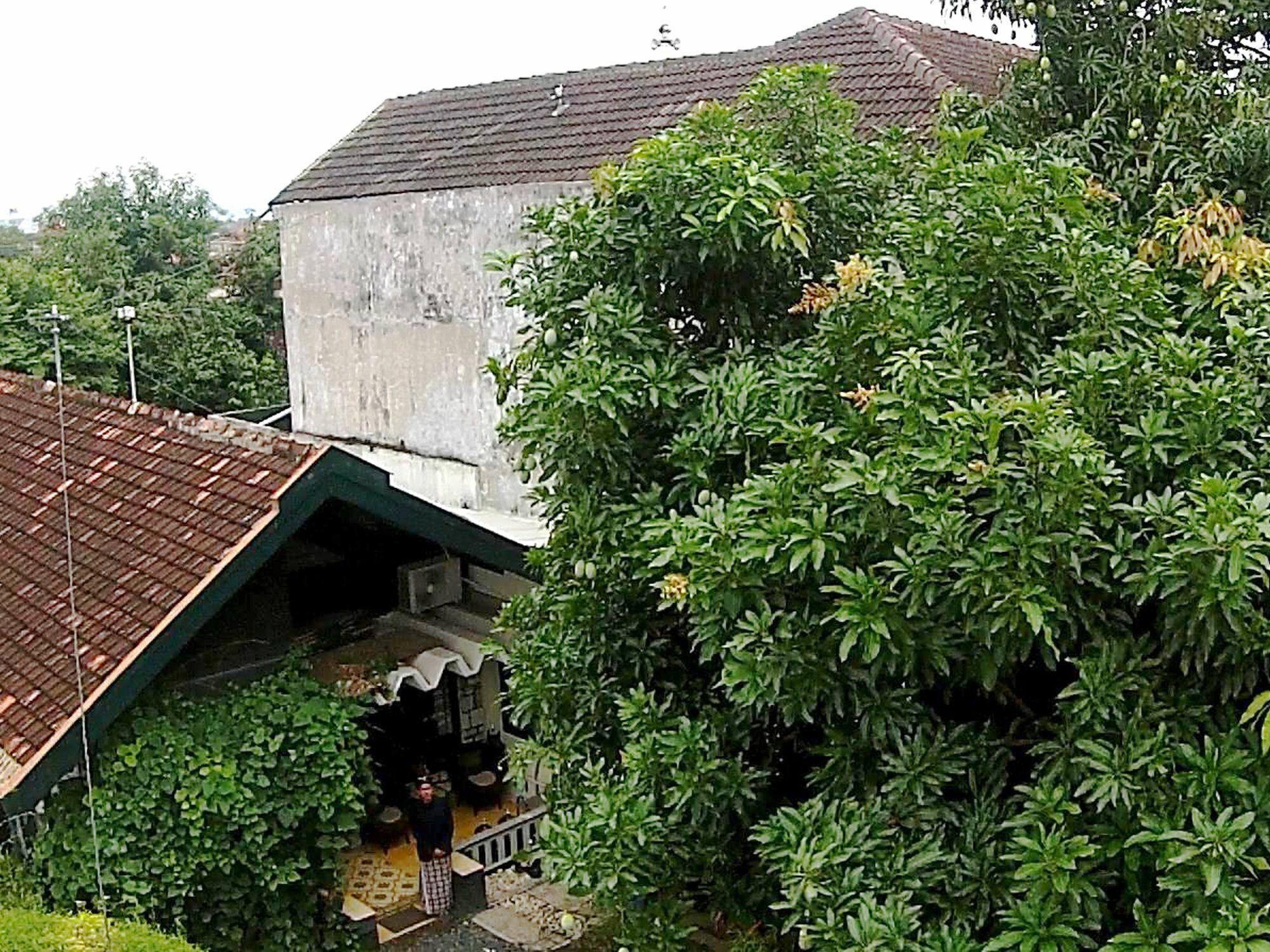 Mango Tree Dipudjo Hotel Yogyakarta Eksteriør billede